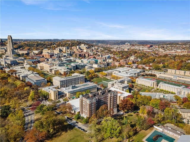 bird's eye view