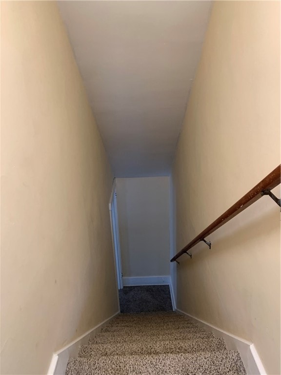 stairway with carpet floors