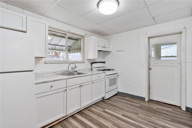 kitchen featuring plenty of natural light, sink, light hardwood / wood-style floors, and white appliances