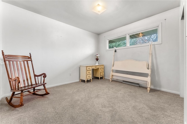 sitting room featuring carpet flooring