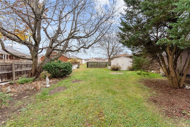 view of yard with a shed