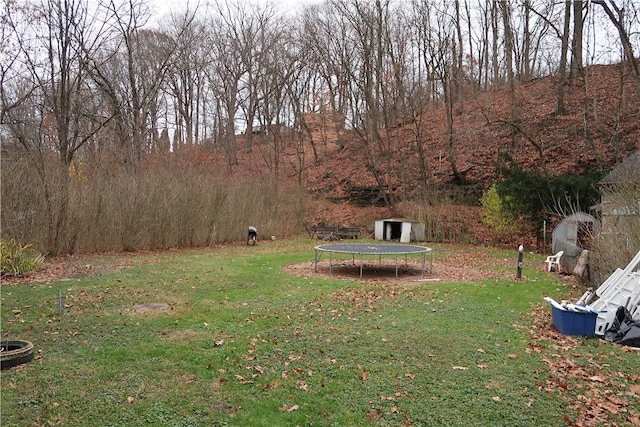 view of yard with a trampoline