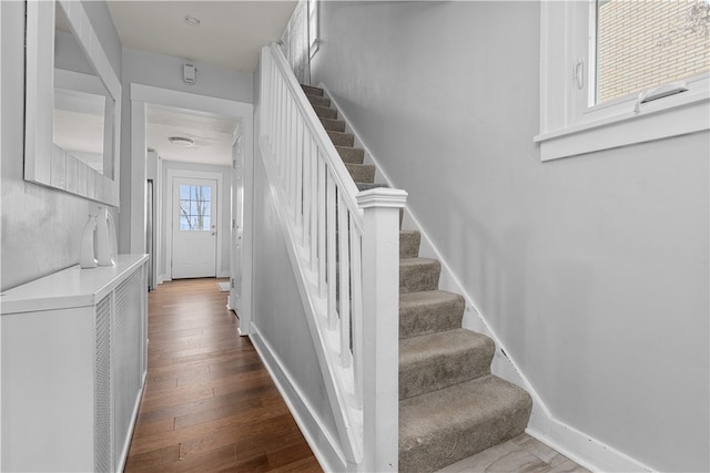 staircase with wood-type flooring