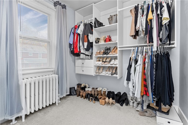 walk in closet with carpet flooring and radiator