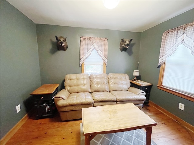 living room with hardwood / wood-style flooring