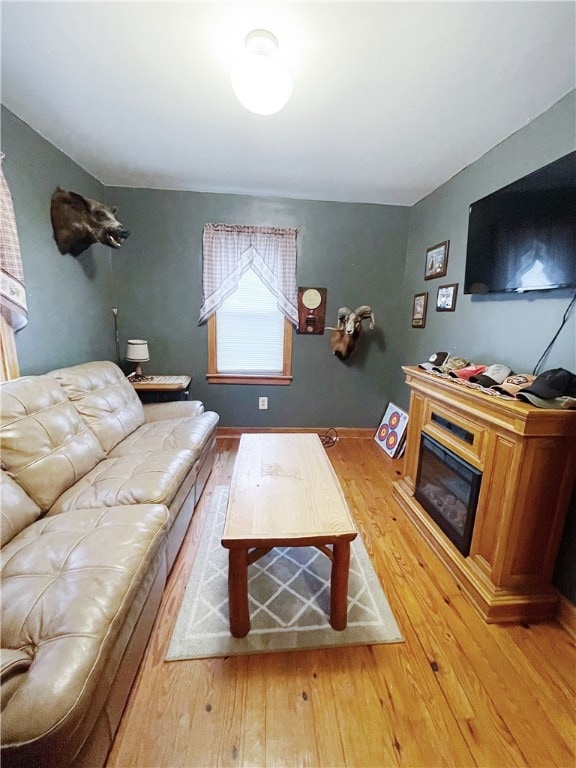 living room with light wood-type flooring