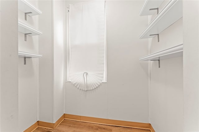 walk in closet featuring wood-type flooring