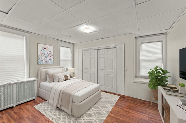 bedroom with a drop ceiling, a closet, radiator heating unit, and dark hardwood / wood-style floors