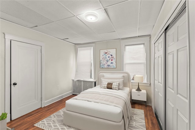 bedroom featuring a drop ceiling and dark hardwood / wood-style floors