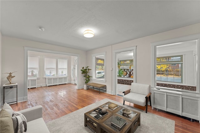 living room featuring wood-type flooring, radiator, and a textured ceiling