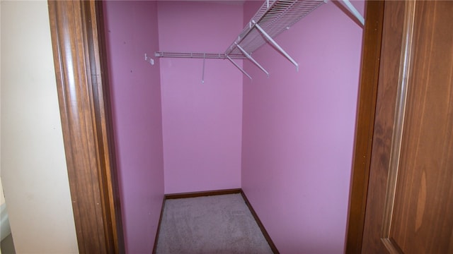 spacious closet with light colored carpet