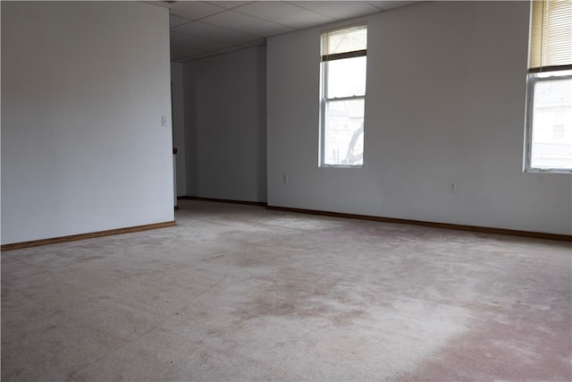 spare room with light carpet, a drop ceiling, and plenty of natural light