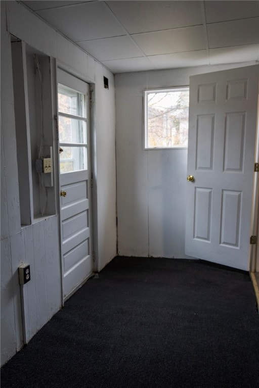 interior space featuring dark colored carpet, plenty of natural light, and wood walls