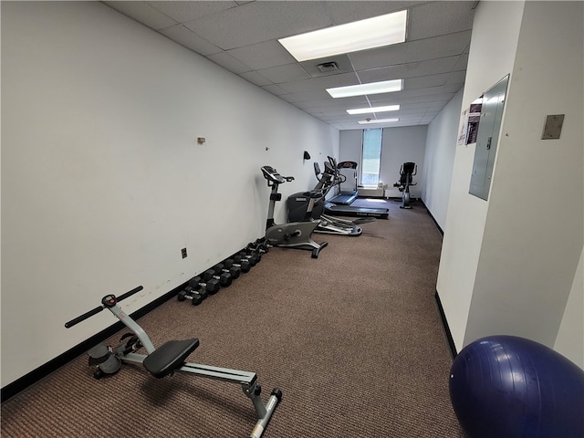 workout room featuring electric panel, a drop ceiling, and carpet