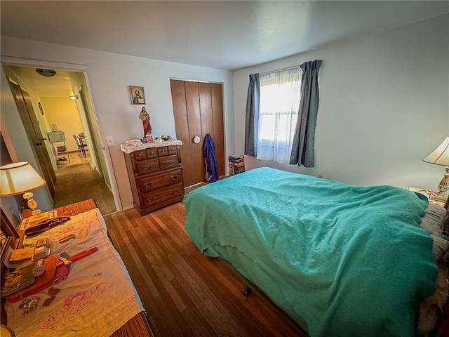 bedroom with dark wood-type flooring and a closet