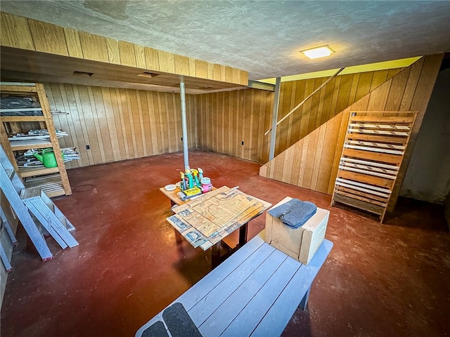 basement with wooden walls