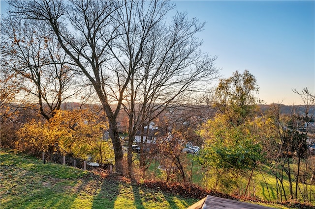 view of yard at dusk