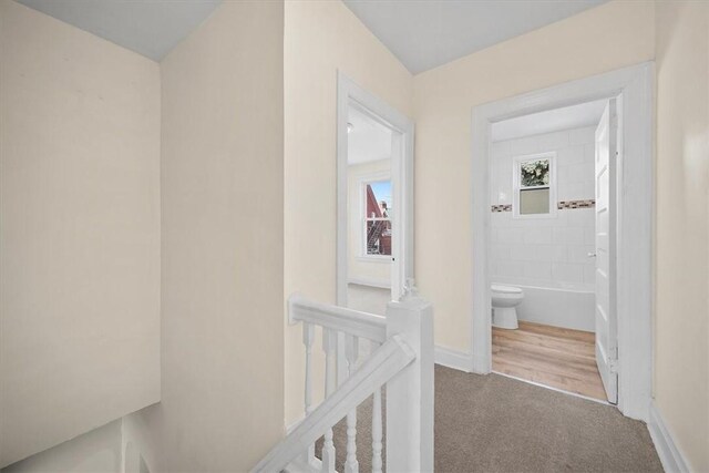 8 Edith Pl, Oakland, PA 15213 - photo 17