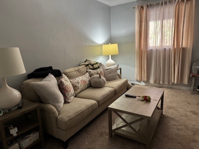 living room featuring dark colored carpet