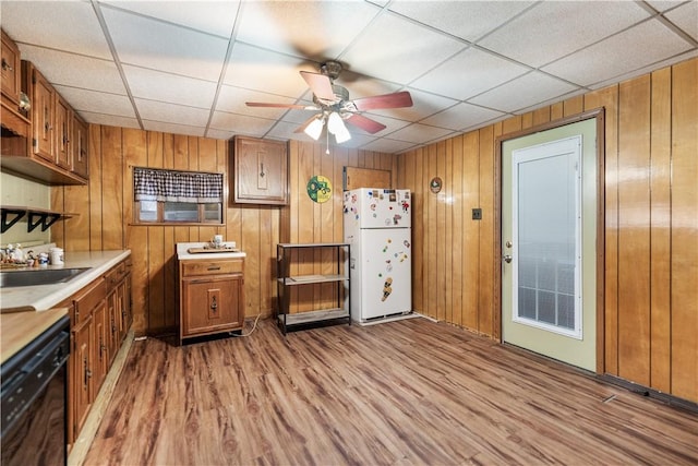 kitchen featuring light wood-type flooring, ceiling fan, sink, white refrigerator, and black dishwasher