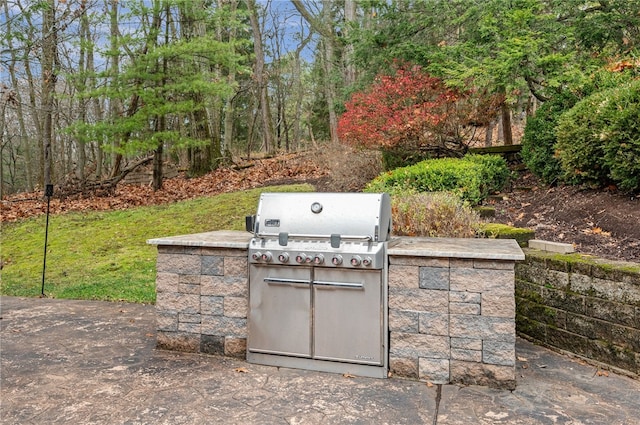 view of patio / terrace featuring area for grilling and exterior kitchen