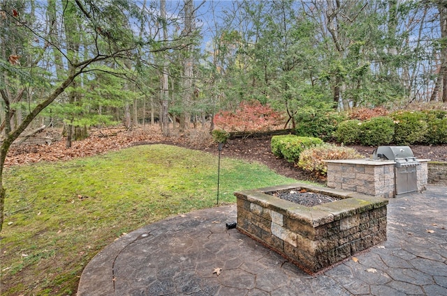 view of yard with area for grilling and a patio