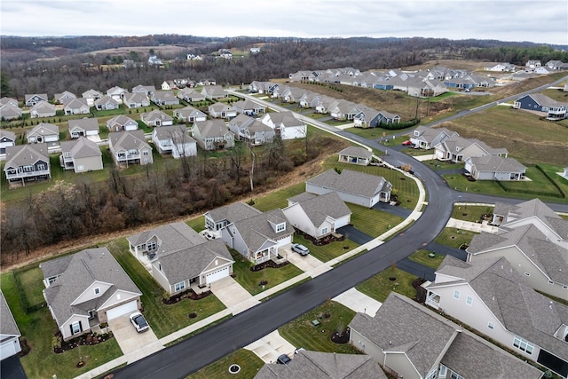 bird's eye view