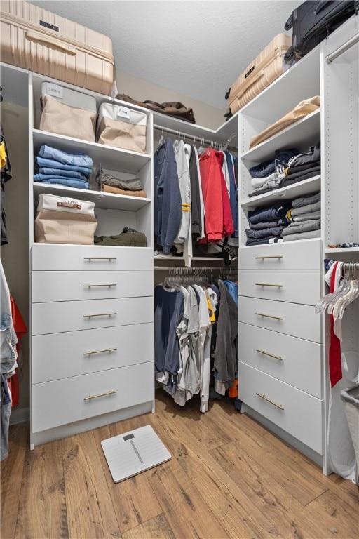 spacious closet with light wood-type flooring