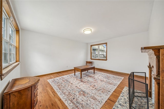 sitting room featuring light hardwood / wood-style flooring