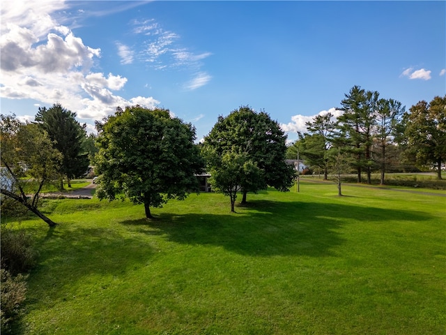 surrounding community featuring a lawn