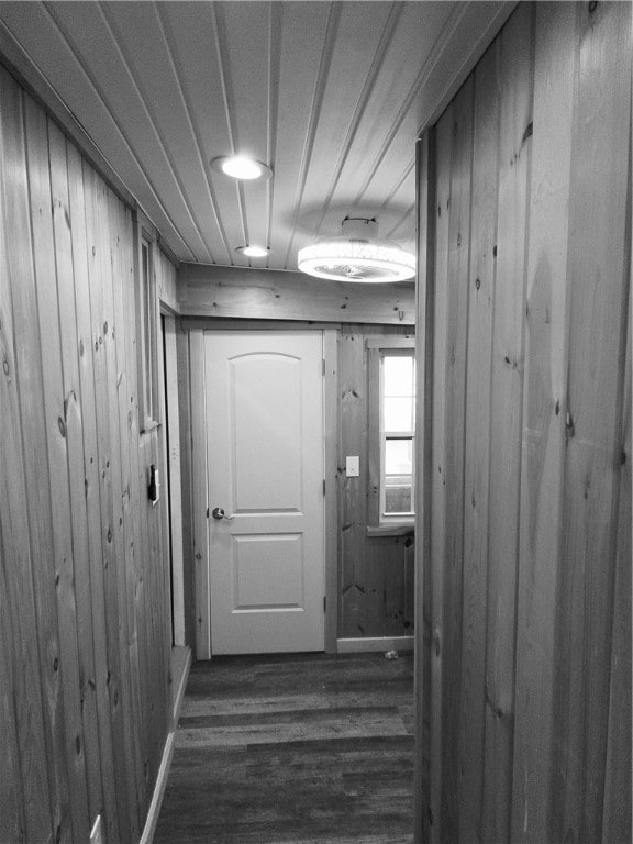 corridor with wooden walls and dark hardwood / wood-style flooring