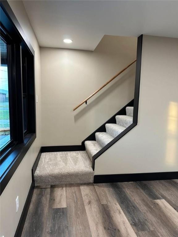 staircase with wood-type flooring