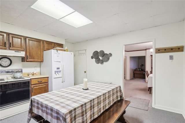 kitchen with light colored carpet and white appliances