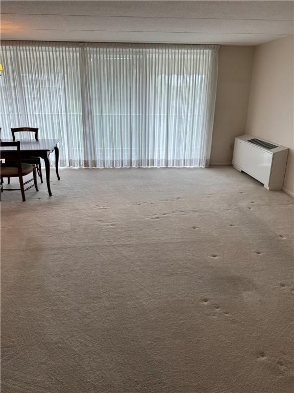 1160 Bower Hill Rd Unit 314A, Mt Lebanon, PA 15243 - spare room with carpet