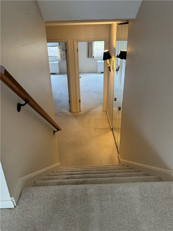 staircase featuring carpet