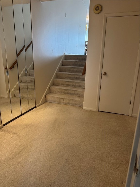 staircase featuring carpet floors