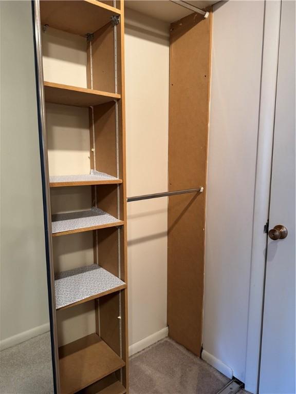 1160 Bower Hill Rd Unit 314A, Mt Lebanon, PA 15243 - spacious closet with carpet floors