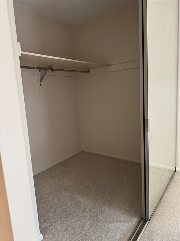 view of closet