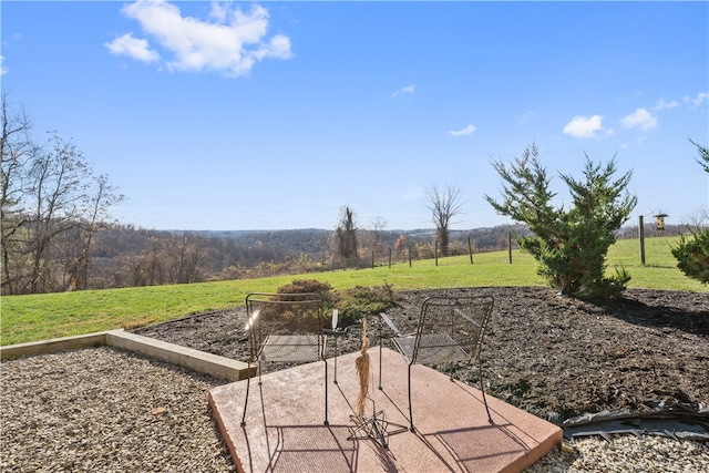 view of yard with a rural view