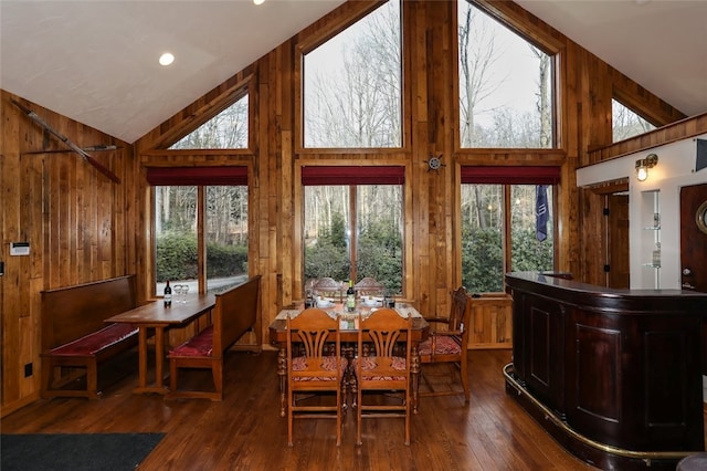 dining room featuring dark hardwood / wood-style floors, a healthy amount of sunlight, and high vaulted ceiling