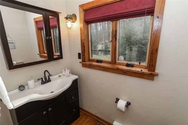 bathroom with hardwood / wood-style flooring and vanity