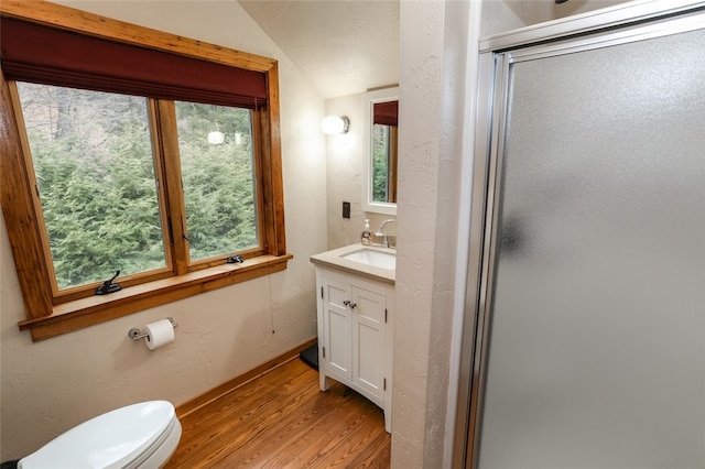 bathroom featuring plenty of natural light, wood-type flooring, vanity, and vaulted ceiling