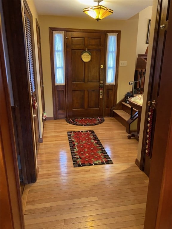 foyer with a healthy amount of sunlight and light hardwood / wood-style floors