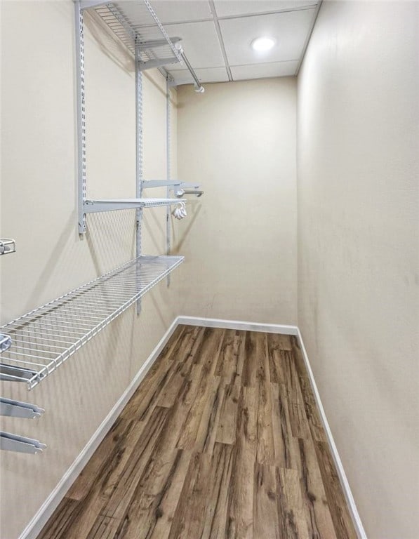 spacious closet with hardwood / wood-style flooring