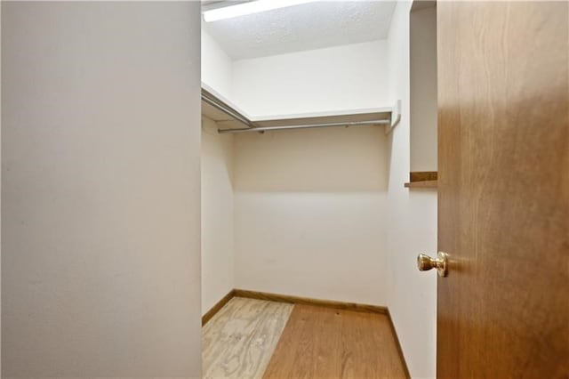 walk in closet featuring light hardwood / wood-style floors