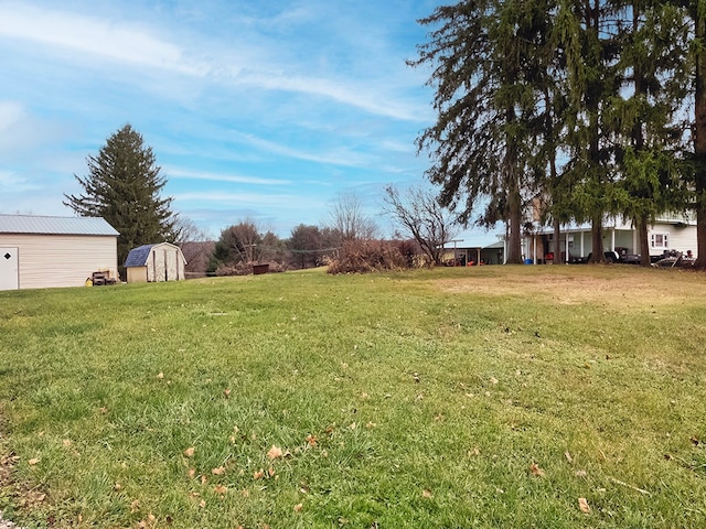 view of yard featuring a shed