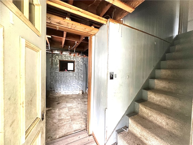 basement featuring wood walls