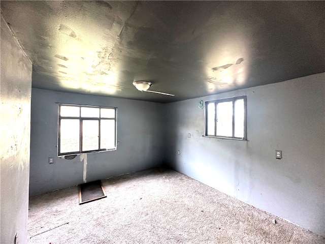 carpeted spare room with plenty of natural light