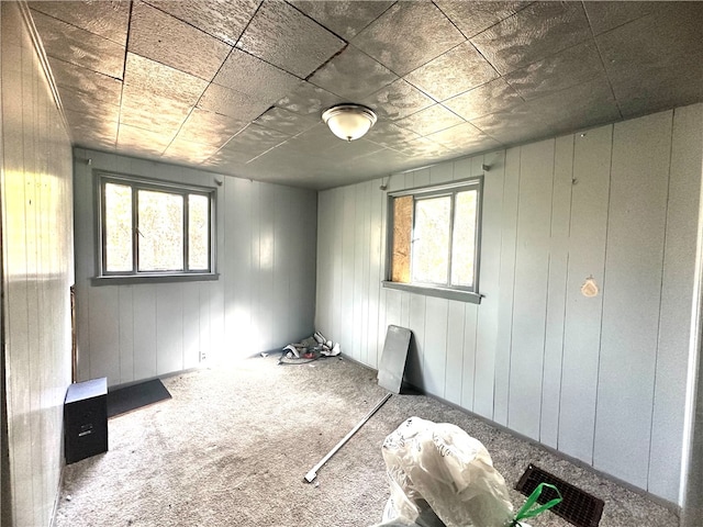 carpeted empty room featuring wooden walls and a healthy amount of sunlight