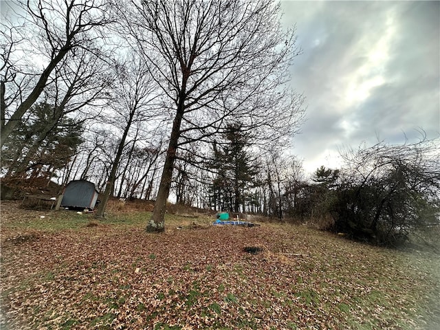 view of yard featuring a shed